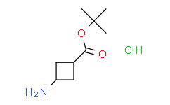 顺式-叔丁基3-氨基环丁烷羧酸酯盐酸盐,≥95%