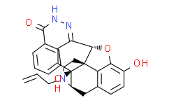 Naloxone benzoylhydrazone