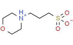 MOPS-Sodium Acetate电泳缓冲液