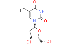 1-[(2R，4S，5R)-4-hydroxy-5-(hydroxymethyl)oxolan-2-yl]-5-(tritiomethyl)pyrimidine-2，4-dione
