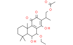 纹香茶菜 F