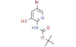 tert-butyl5-bromo-3-hydroxypyridin-2-ylcarbamate