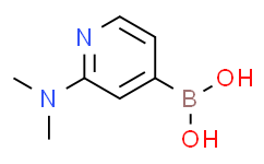 (2-(二甲氨基)吡啶-4-基)硼酸,95%