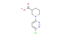 1-(6-氯-3-哒嗪基)哌啶-3-甲酸甲酯,95%