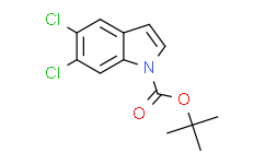 1-Boc-5，6-二氯-1H-吲哚,95%