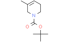 3-甲基-5,6-二氢吡啶-1(2H)-羧酸叔丁酯