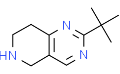 2-TERTBUTYL-5,6,7,8-TETRAHYDRO-PYRIDO[4,3-D]PYRIMIDINE
