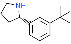 (2S)-2-(3-tert-butylphenyl)pyrrolidine