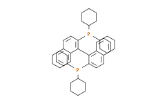 1，1'-(1S)-[1，1'-联萘]-2，2'-双[1，1-环己基]膦,95%