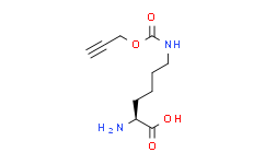 N-丙炔基-L-赖氨酸