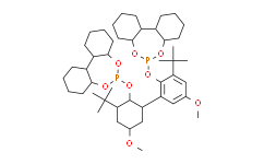 6，6'-((3，3'-二-叔丁基-5，5'-二甲氧基-[1，1'-联苯]-2， 双(氧基))二苯并[d，f] [1，3，2]二氧杂磷杂环戊二烯,97%