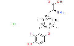 [13C6]-3,3',5-Triiodothyronine hydrochloride (L-Liothyronine; T3)