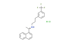 Hexapeptide-11 (acetate)