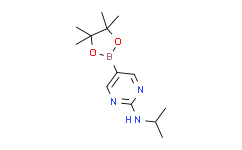 N-异丙基-5-(4，4，5，5-四甲基-1，3，2-二氧杂环戊硼烷-2-基)嘧啶-2-胺,≥95%