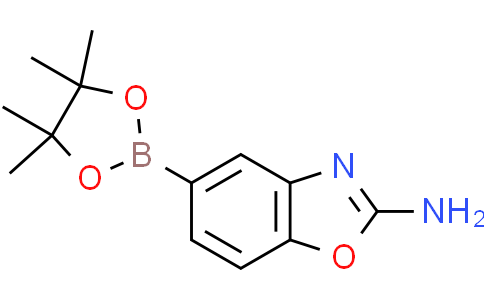 2-胺基苯并恶唑-5-硼酸酯