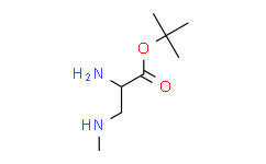 2-(甲基氨基)乙基氨基甲酸叔丁酯,95%
