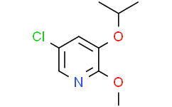 5-氯-3-异丙氧基-2-甲氧基吡啶