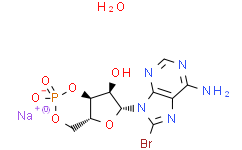 8-溴腺苷-3′，5′-环单磷酸