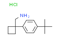 （1-（4-（叔丁基）苯基）环丁基）甲胺盐酸盐,90%