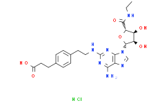 CGS 21680 HCl