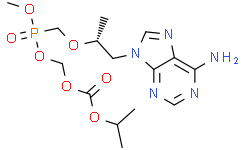 Parathyroid Hormone (1-34) (human) (trifluoroacetate salt)