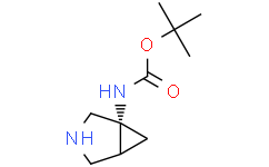 叔-丁基 (1R)-3-氮杂二环[3.1.0]己烷-1-基氨基甲酯