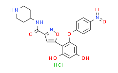 Hsp90-IN-17 hydrochloride