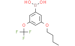 (3-Butoxy-5-(trifluoromethoxy)phenyl)boronic acid