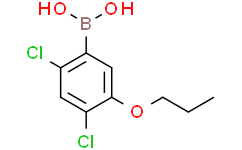 (2，4-二氯-5-丙氧基苯基)硼酸