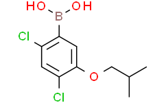 (2,4-Dichloro-5-isobutoxyphenyl)boronic acid