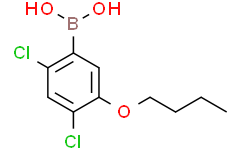 5-丁氧基-2,4-二氯苯基硼酸