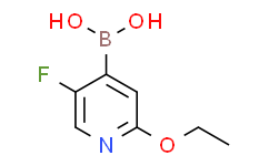 (2-乙氧基-5-氟吡啶-4-基)硼酸,95%