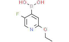 (2-乙氧基-5-氟吡啶-4-基)硼酸,95%