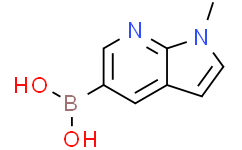 (1-甲基-1H-吡咯并[2，3-b]吡啶-5-基)硼酸