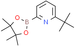 2-(tert-Butyl)-6-(4,4,5,5-tetramethyl-1,3,2-dioxaborolan-2-yl)pyridine