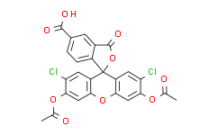 5(6)-羧基-2’，7’-二氯荧光素3’，6’-二乙酸酯