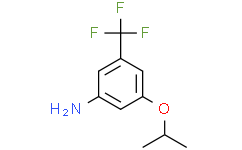 3-异丙氧基-5-三氟甲基苯胺,95%