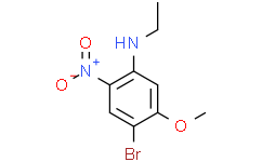4-Bromo-N-ethyl-5-methoxy-2-nitroaniline