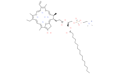 1-Palmitoyl-2-Pyropheophorbide a-sn-glycero-3-PC