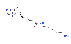 生物素-半胱胺