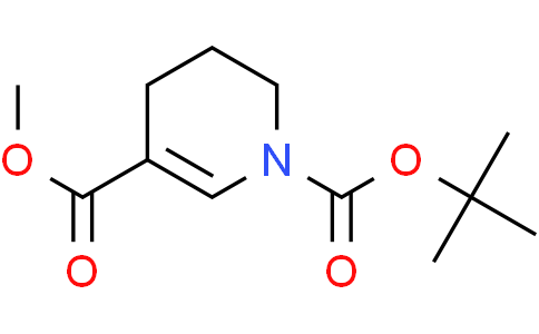 1-tert-butyl 3-methyl 1,4,5,6-tetrahydropyridine-1,3-dicarboxylate
