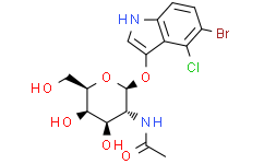 5-溴-4-氯-3-吲哚基-N-乙酰-beta-D-氨基半乳糖苷