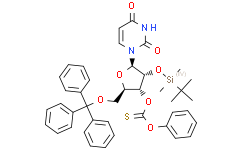 2′-O-（叔丁基二甲基甲硅烷基）-3′-O-（苯氧基亚硫羰基）-5′-O-三苯并三氢吡啶