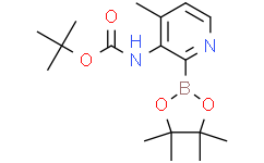 tert-Butyl (4-methyl-2-(4,4,5,5-tetramethyl-1,3,2-dioxaborolan-2-yl)pyridin-3-yl)carbamate