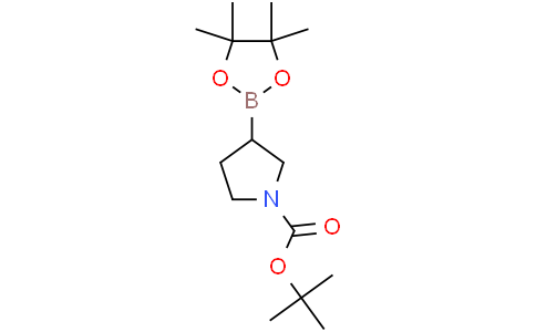 tert-butyl 3-(4,4,5,5-tetramethyl-1,3,2-dioxaborolan-2-yl)pyrrolidine-1-carboxylate