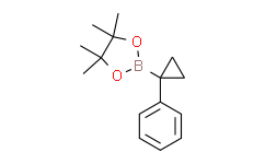 4，4，5，5-四甲基-2-（1-苯基环丙基）-1，3，2-二氧杂硼烷,95%