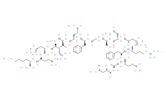 β-Amyloid (1-16)
