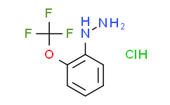 2-三氟甲氧基苯肼(HCL),98%