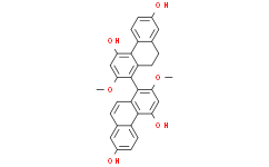 2025新老澳门原料