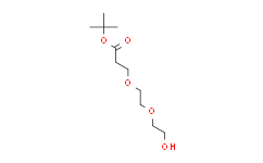 丙酸叔丁酯-二聚乙二醇,95%